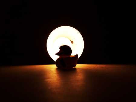 Silhouetted Duck - toy, duck, rubber, light