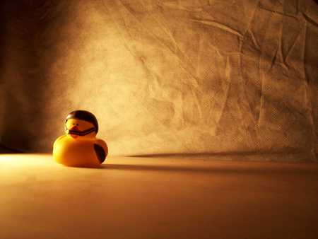 The Duck - toy, duck, rubber, light