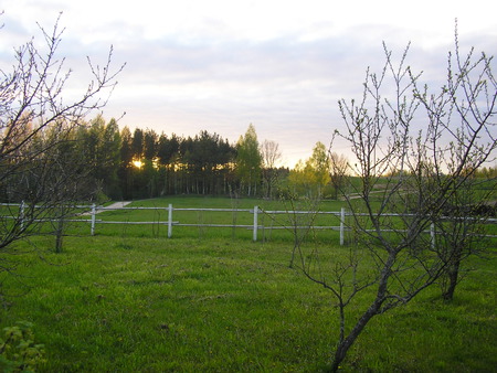 Spring - spring, fence, green