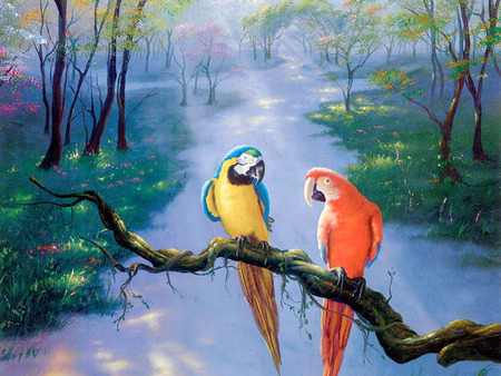 love birds - color, birds, artwork