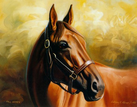 beautiful horse - art, horse