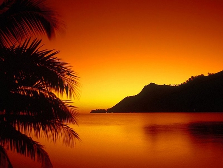 BEAUTIFUL SUNSET - sunser, pond, mountain, palm tree