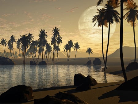 Sunset oasis - sunsets, 3d