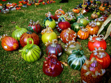 pretty pumpkin - patch, colorful, pumpkins, glass