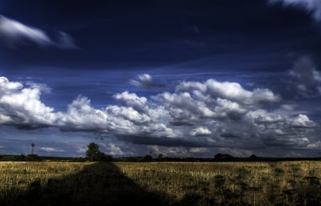 MOVING CLOUDS - field, skies, trees, clouds