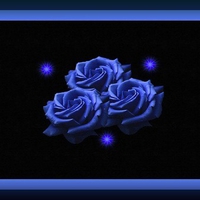 Blue roses