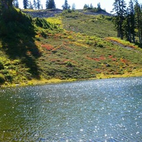 Pond at Heather Meadows