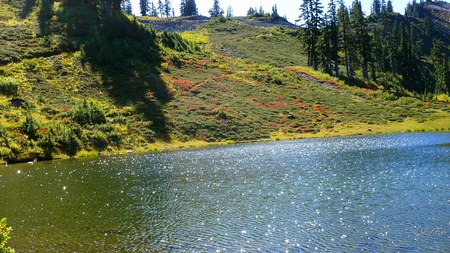 Pond at Heather Meadows - widescreen, fall, pond, autumn, lake, meadow, mountains, washington