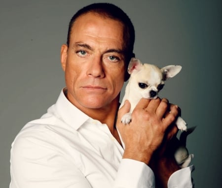 Jean-Claude Van Damme - actor, white, animal, chihuahua, dog, puppy, Jean-Claude Van Damme, man