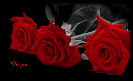 for you . . - rose, roses, red, red roses