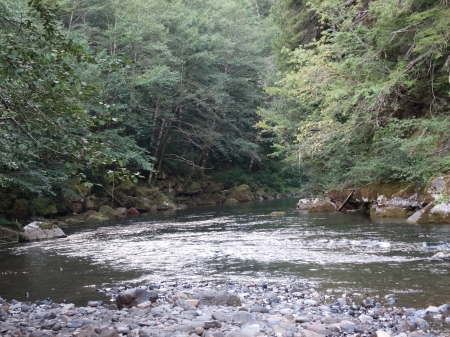 Lewis River - trees, mountain, stream, outdoors, rocks, nature, woods, forest, river