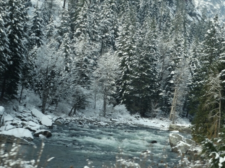 Wenatchee River in Winter - forest, winter, creek, beautiful, frost, river, woods, trees, nature, snow