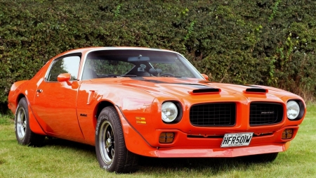 1970 Pontiac Firebird Trans Am - Muscle, Car, Firebird, Trans Am, Old-Timer, Pontiac