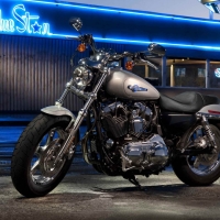 Harley Davidson 1200 Custom