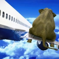 Jumbo Jet