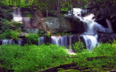 Forest Waterfall - river, trees, water, nature, green, rocks, natural