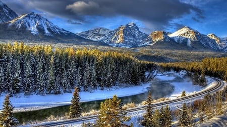 Forest Rail Road & Winter Scenery - railway, road, trees, winter