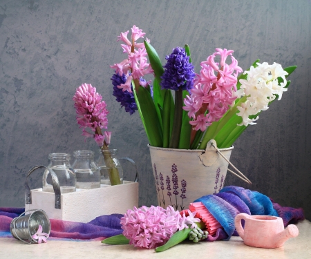 Still life - white, purple, pink, blue, flowers, lilac, still life