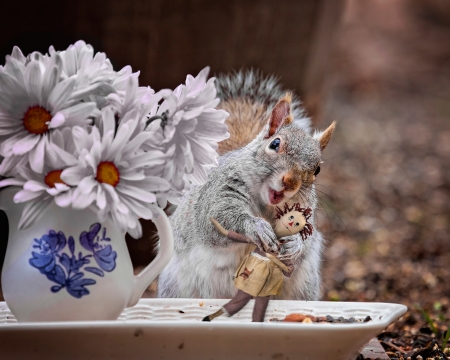 Awww, for me?! - flower, funny, animal, cute, vase, blue, white, toy, squirrel, daisy