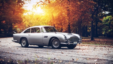 Aston Martin DB5 - Car, Autumn, Sunset, Cars, Forest, Classic car, Oldtimer, Classic, Gray, Aston Martin