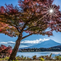 Mount Fuji, Lake Kawaguchi, Japan