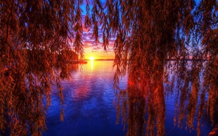 Autumn Sunset - lake, sunset, willow, sun