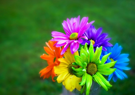 Rainbow bouquet - yellow, blue, daisy, flower, pink, colorful, rainbow, purple, red, green