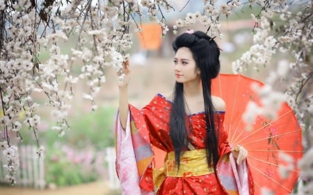 Spring - sakura, blossom, girl, chinese, spring, kimono, flower, orange, white, umbrella, red, woman, model, asian, japanese