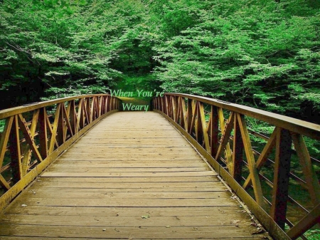 Bridge Over Troubled Water - forest, bridges, nature, music