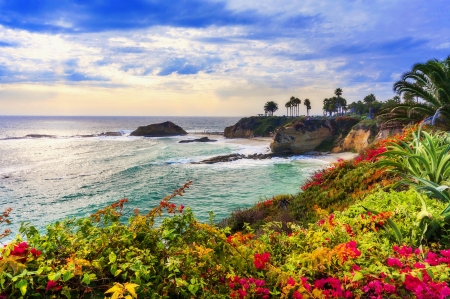 Sea coast - sky, beach, waves, rocks, coast, beautiful, breeze, flowers, sea