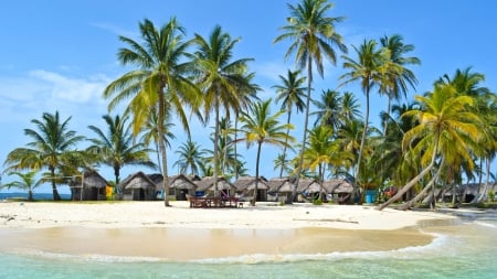 Summer - beach, palm, sand, sea