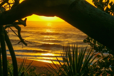 Sunset Glow - nature, glow, ocean, landscape, trees, reflection, sunset, sea