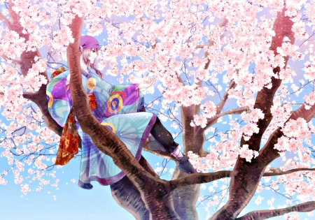 Kusuriuri - anime, hoshikirari, blossom, spring, flower, pink, man, manga, in the tree, kusuriuri, mononoke