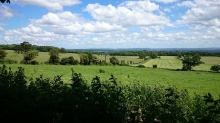 Field in Summer - countryside, summer, view, field