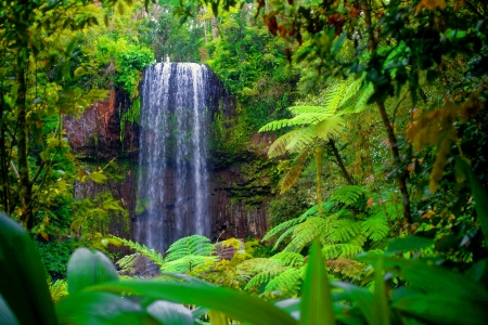 Forest waterfall - nature, trees, forest, beautiful, greenery, summer, waterfall, exotic