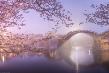 :) - sky, bridge, trees, reflection