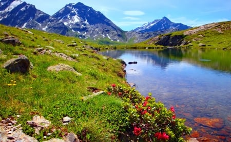 Mountain lake - summer, beautiful, landscape, slope, spring, grass, reflection, mountain, flowers, nature, cliffs, lake, rocks