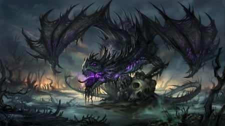 Plague Dragon - skull, bones, purple, plague, dragon, black, gothic