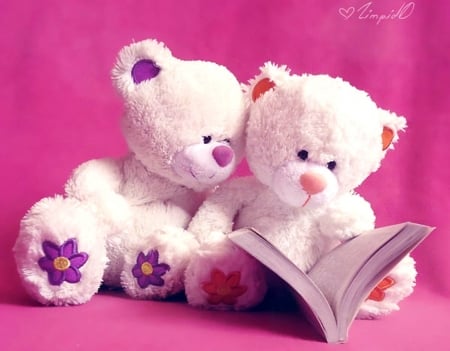 Once upon a time... - child, funny, book, pink, cute, sweet, toy, valentine, teddy bear, couple