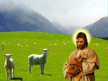 Jesus, good shepherd - care, christ, jesus, shepherd, sheep, god, love