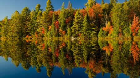 Autumn - river, tres, sky, autumn