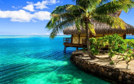 Exotic - bungalows, trees, beach, ocean, resort, palm, tropics, bungalow, exotic