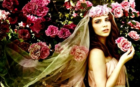 SPRING BEAUTY - beauty, veil, flowers, photo, model