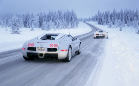 winter cars - nature, fun, cool, winter, cars