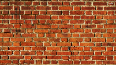 brick wall - wall, clay, mortar, brick