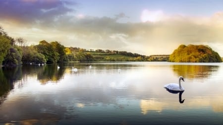 Autumn Swim - lake, pond, sky, swams