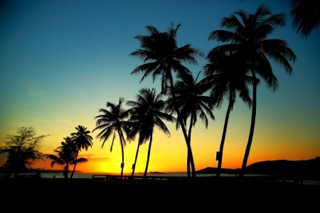 Beautiful - palm trees, sea, mountains, sunsets, sky