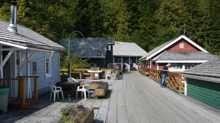 Telegraph Cove - boardwalk, vancouver, telegraph cove, telegraph, cabins