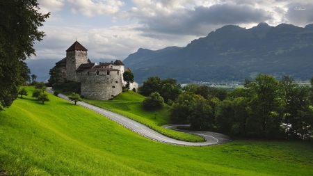 roadside castle - road, grass, tree, castle