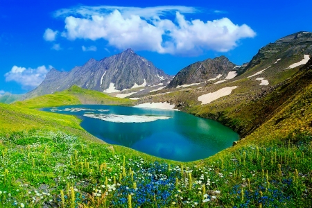 Mountain lake - blue, beautiful, landscape, grass, mountain, wildflowers, nature, lake, sky